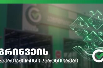 გრინვეი აწესებს ევროსტანდარტებს და სერვისებს