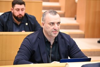 იონათამიშვილი პრემიერის გაეროს გამოსვლაზე