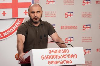 ხაბეიშვილი: პარტიების აკრძალვის თემა აღარ განიხილება