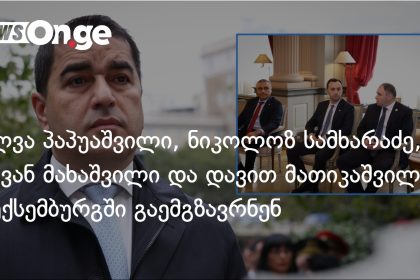 საქართველოს პარლამენტის დელეგაცია ლუქსემბურგს სტუმრობს — photo: on.ge