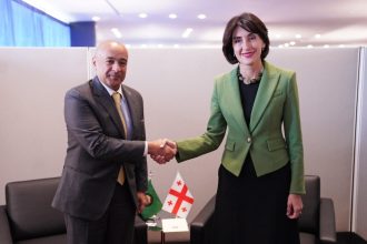 საქართველოს საგარეო მინისტრი GCC-ის მეთაურს ნიუ-იორკში შეხვდა — photo: www.interpressnews.ge