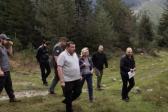 ლახამულას ხეობაში წიწვოვან ტყეს ქერქიჭამია ანადგურებს — სპეციალისტები ჩარევას იწყებენ — photo: primetime.ge