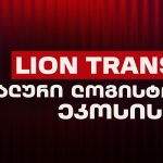 Lion Trans — ქართული სტარტაპიდან გლობალურ ლოგისტიკურ მოთამაშემდე — photo: on.ge