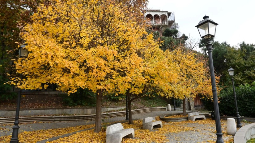 ოქტომბრის ამინდი საქართველოში: სინოპტიკოსის დეტალური პროგნოზი — photo: primetime.ge
