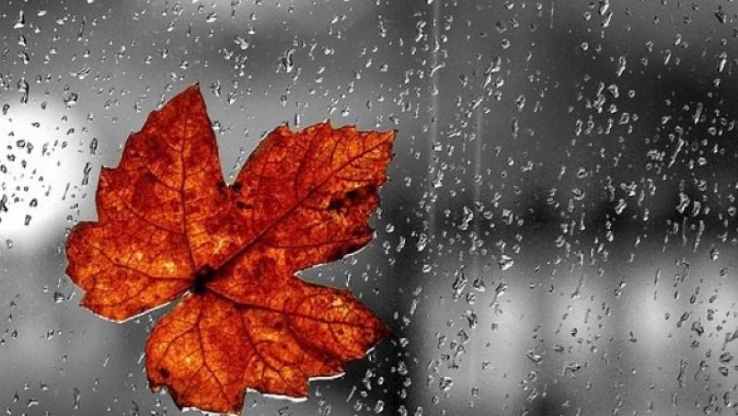 30 სექტემბერი: საქართველოში ქვეყნის მასშტაბით წვიმა მოდის — რა ტემპერატურაა თქვენს ქალაქში? — photo: primetime.ge
