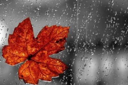 30 სექტემბერი: საქართველოს მასშტაბით წვიმა – რა ამინდია მოსალოდნელი თქვენს ქალაქში — photo: primetime.ge