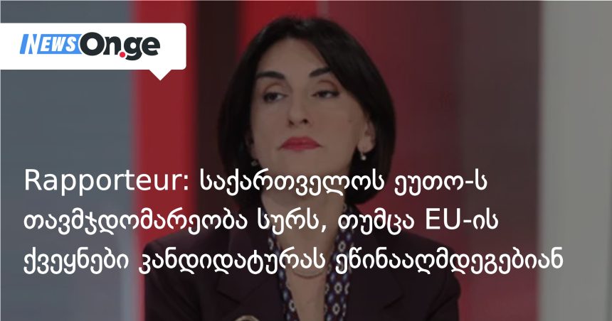 საქართველო ეუთოს თავმჯდომარეობას ეძებს — ევროპული წინააღმდეგობა გზას უღობავს — photo: on.ge