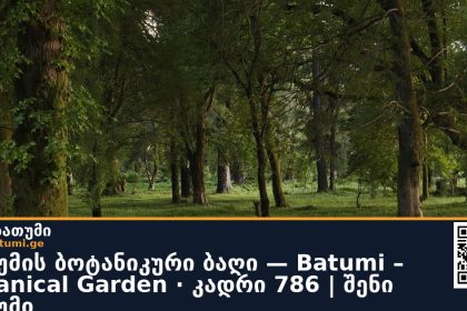 ბათუმის ბოტანიკური ბაღი — Batumi – Botanical Garden · კადრი 786 | შენი ბათუმი