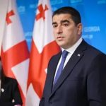 პაპუაშვილი: ევროკავშირის რეზოლუცია საქართველოს დაზარალებს