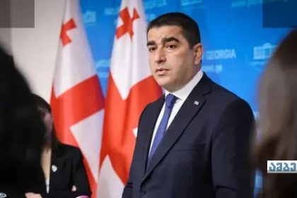 პაპუაშვილი: ევროკავშირის რეზოლუცია საქართველოს დაზარალებს