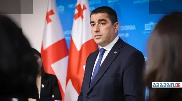 პაპუაშვილი: ევროკავშირის რეზოლუცია საქართველოს დაზარალებს