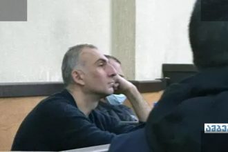 ელისაშვილის საქმეში მხოლოდ ძაղლის ექსპერტიზა გააჩნია
