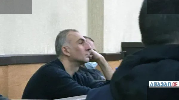 ელისაშვილის საქმეში მხოლოდ ძაղლის ექსპერტიზა გააჩნია