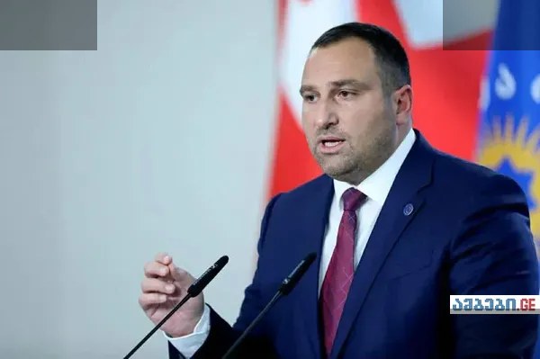 კირცხალია: ივანიშვილი კობახიძეს მხოლოდ შექებდა