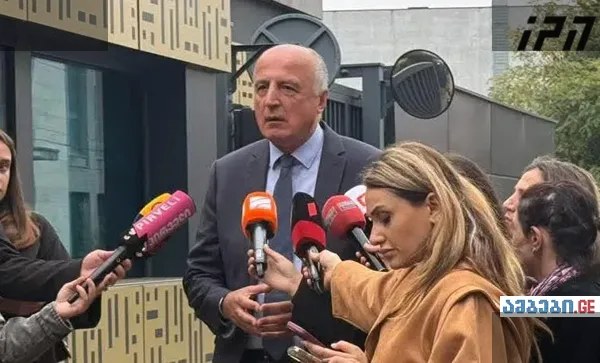 ოპოზიცია დასავლეთის ელჩებთან განიხილავს კონსტიტუციურ კრიზისს