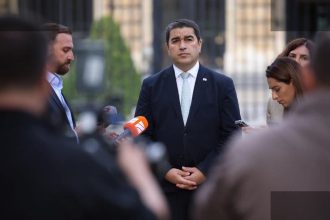 პაპუაშვილი: ოპოზიციაში გარჩევები წარმოსახვითია
