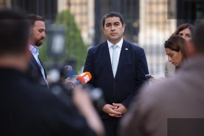 პაპუაშვილი: ოპოზიციაში გარჩევები წარმოსახვითია