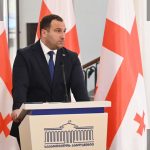 კირცხალია მეგის ქარდავას საქმეზე: მტკიცებულებების სტანდარტი