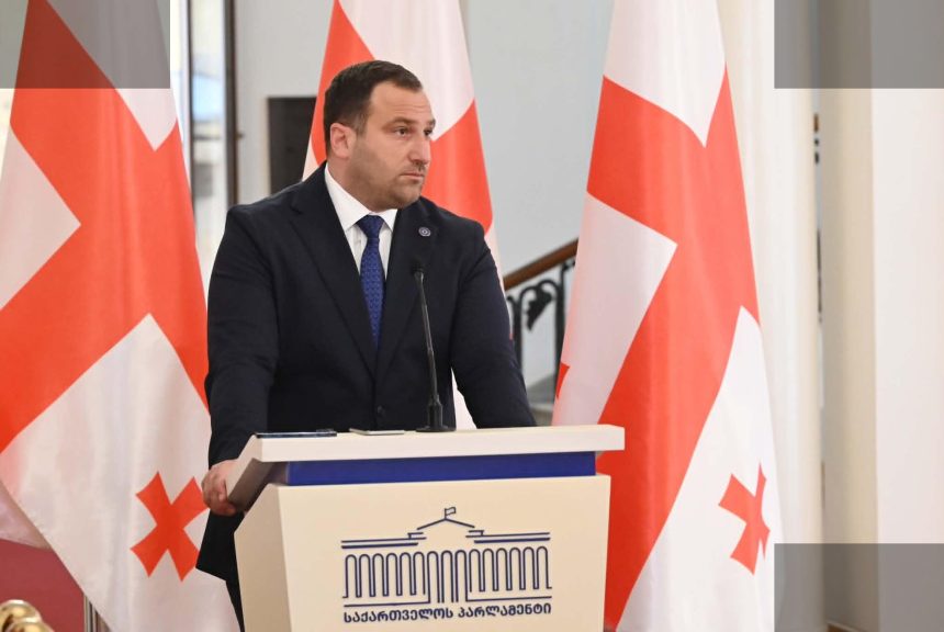 კირცხალია მეგის ქარდავას საქმეზე: მტკიცებულებების სტანდარტი