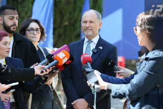ჰერჩინსკი: მთავრობის პოლიტიკა ევროპული სტანდარტების საფრთხეშია