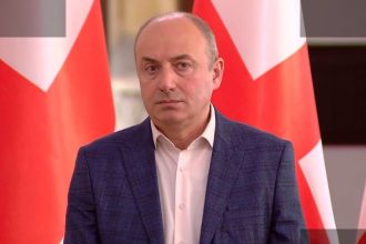 მაჭარაშვილი: ევროკავშირი ორმაგი სტანდარტი იყენებს