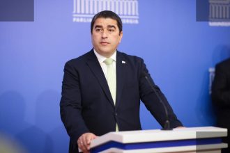 პაპუაშვილი: ბრიუსელმა ევროპული ღირებულებები დაივიწყა