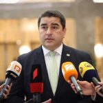პაპუაშვილი: ევროპარლამენტის პოზიცია საქართველოს მიმართ უნდა შეიცვალოს