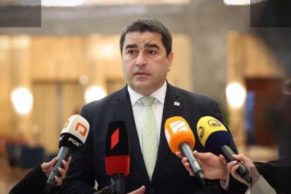 პაპუაშვილი: ევროპარლამენტის პოზიცია საქართველოს მიმართ უნდა შეიცვალოს