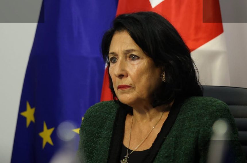 ზურაბიშვილი ევროპის საბჭოს კომისართან უფლებათა დარღვევებზე ილაპარაკა
