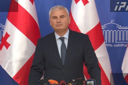 ქადაგიშვილი: მდინარაძეს უფლება აქვს კერძო საქმიანობა