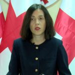 წითლიძე: კობახიძის გადაწყვეტილება ასახავს მოსამართლეებზე ზეწოლას