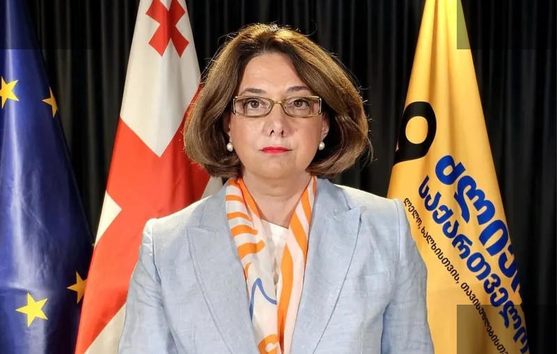 სამადაშვილი: ივანიშვილი მზადებს კონსტიტუციის წინააღმდეგ მოქმედებებს