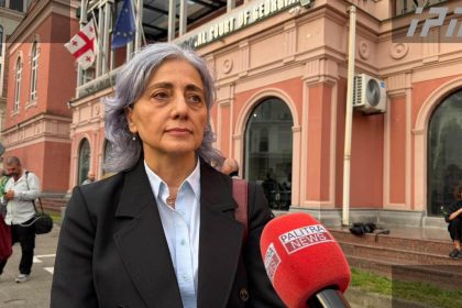 კოპალეიშვილი: პარტიების აკრძალვა დიქტატურის დამყარებაა