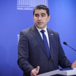 პაპუაშვილი: პარტიის კონსტიტუციურობის გამოწვევა - კონსტიტუციური უფლება