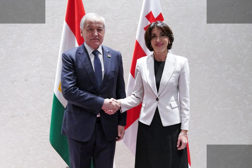 ბოჭორიშვილი ცენტრალური აზიის მინისტრებს შეხვდა