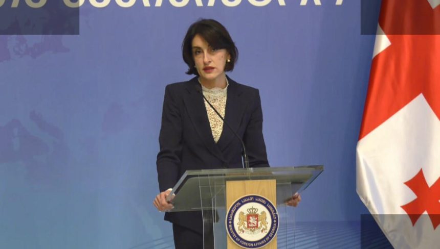 ბოჭორიშვილი: ცენტრალური აზიასთან დიალოგი ეკონომიკური შედეგი უნდა მოიტანოს