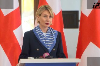 წილოსანი: დასავლელი პარტნიორების კრიტიკა რადიკალებს ემსახურება