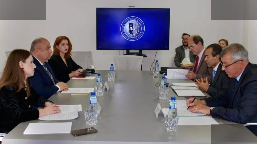საერთაშორისო მისია სოხუმში ჟენევის მოლაპარაკებების წინ