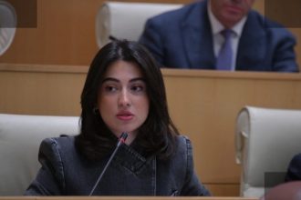 შარტავა: საქართველო დგას მტკიცედ გლობალურ ქაოსში