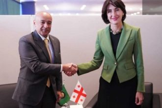 ბოჭორიშვილმა GCC-ის გენერალურ მდივანთან შეხვედრა გამართა