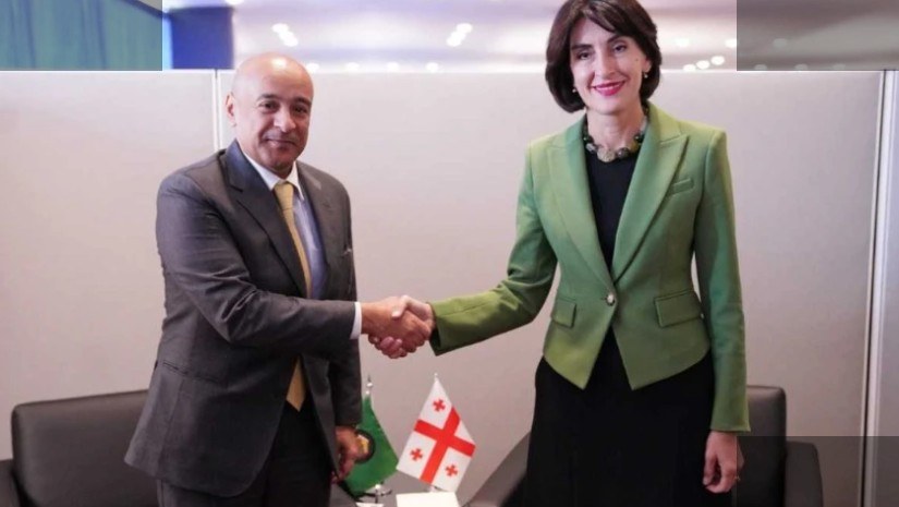 ბოჭორიშვილმა GCC-ის გენერალურ მდივანთან შეხვედრა გამართა