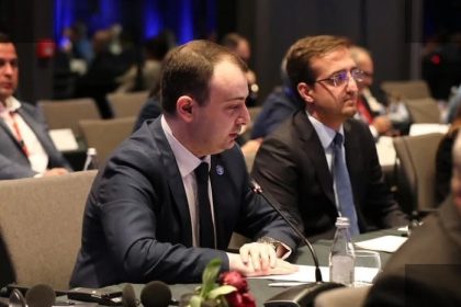 საქართველოს პარლამენტი ევროკავშირის გაფართოების კონფერენციაში მონაწილეობს