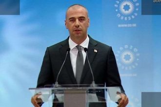 მოადგილე: ენჯეოები "ნაციონალური მოძრაობის" ინტერესებს ემსახურება