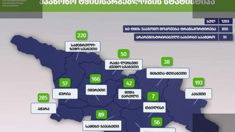 გარემოსდაცვიتი დეპარტამენტი ხე-ტყის უკანონო მოპოვებას კამათობს