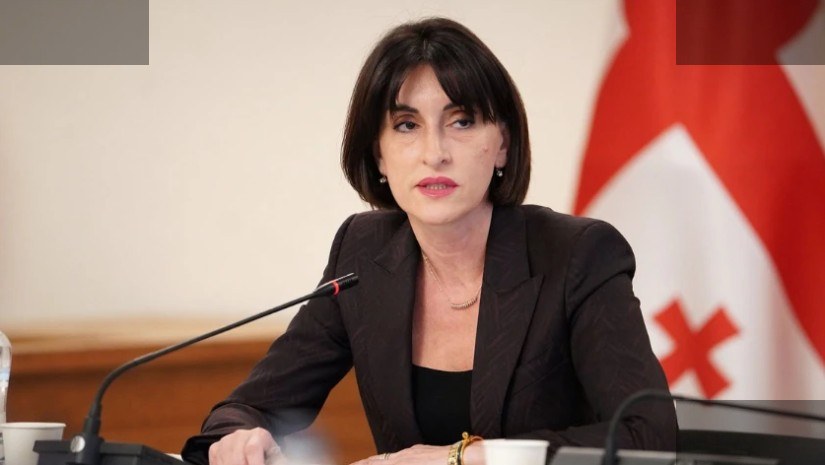 ბოჭორიშვილი კანადაში უკრაინის საკითხებზე კონფერენციაში მონაწილეობას მიიღებს