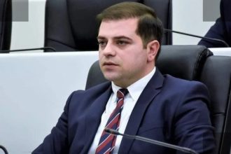 ანანიძე: დეოკუპაცია მხოლოდ მშვიდობიანი გზით შესაძლებელია