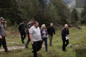 სვანეთის წიწვოვანი ტყე ქერქიჭამისგან იცავენ