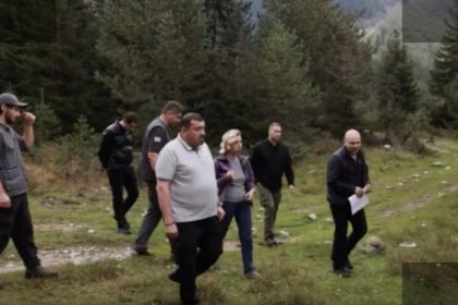 სვანეთის წიწვოვანი ტყე ქერქიჭამისგან იცავენ
