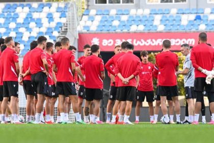 საქართველოს ნაკრების შემადგენლობა ჩრდ. ირლანდიის წინააღმდეგ