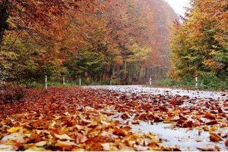 1 ოქტომბრის ამინდის პროგნოზი: საქართველოს უმეტეს ნაწილში წვიმა მოდის — photo: primetime.ge